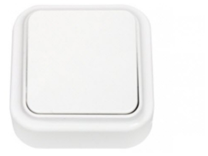 Выключатель Bylectrica Пралеска 1кл ОП А16-131