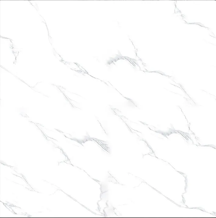 Керамогранит TSC напольная 60*60 ТР66М28