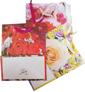 Пакет подарочный 18*23 см в ассортименте