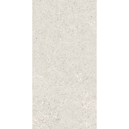 Керамогранит 1200*600 матовый Z612D21
