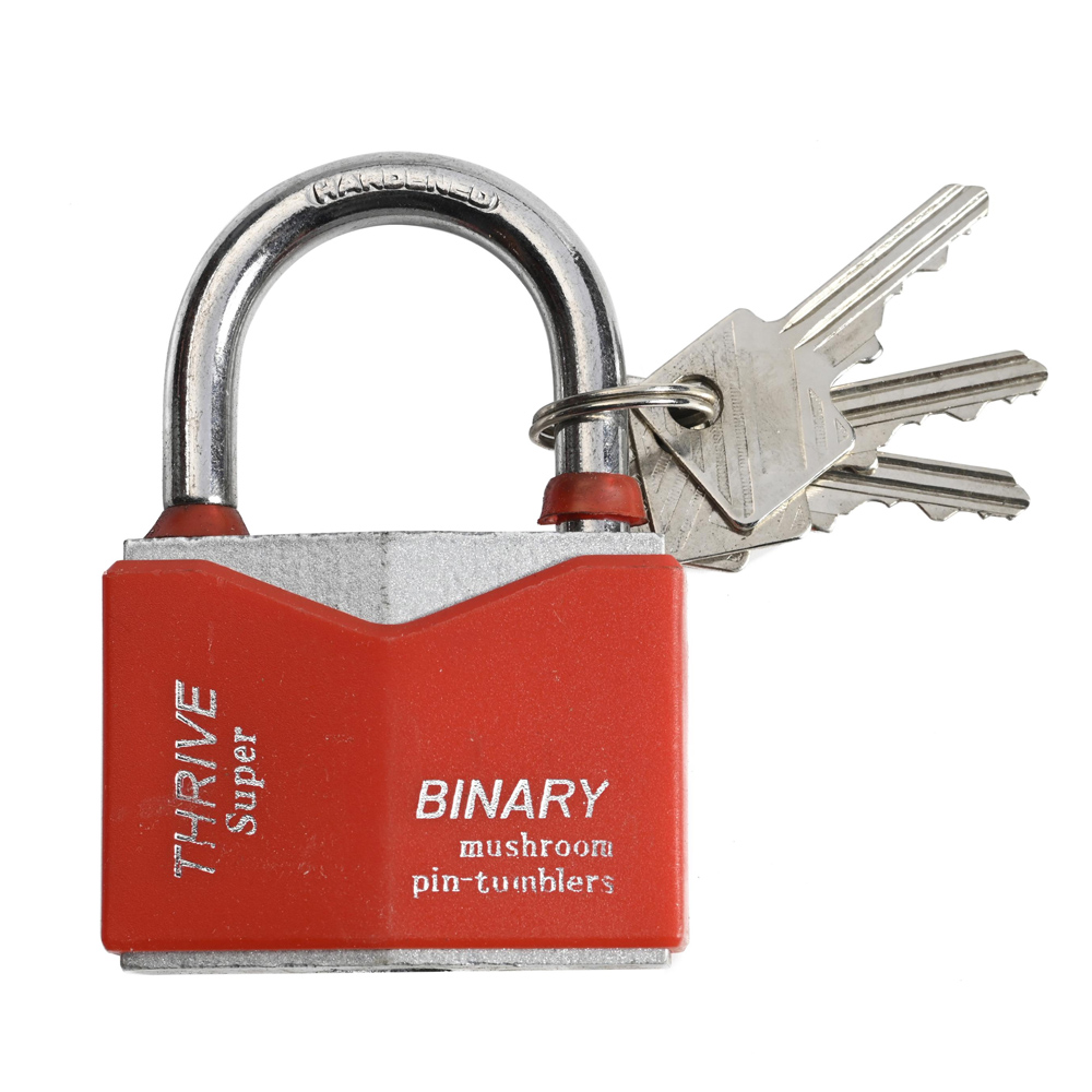 Замок навесной BINARY с крышкой 40 мм/12/120/3351