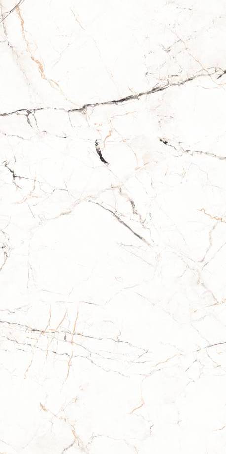 Керамогранит 1200*600 12055