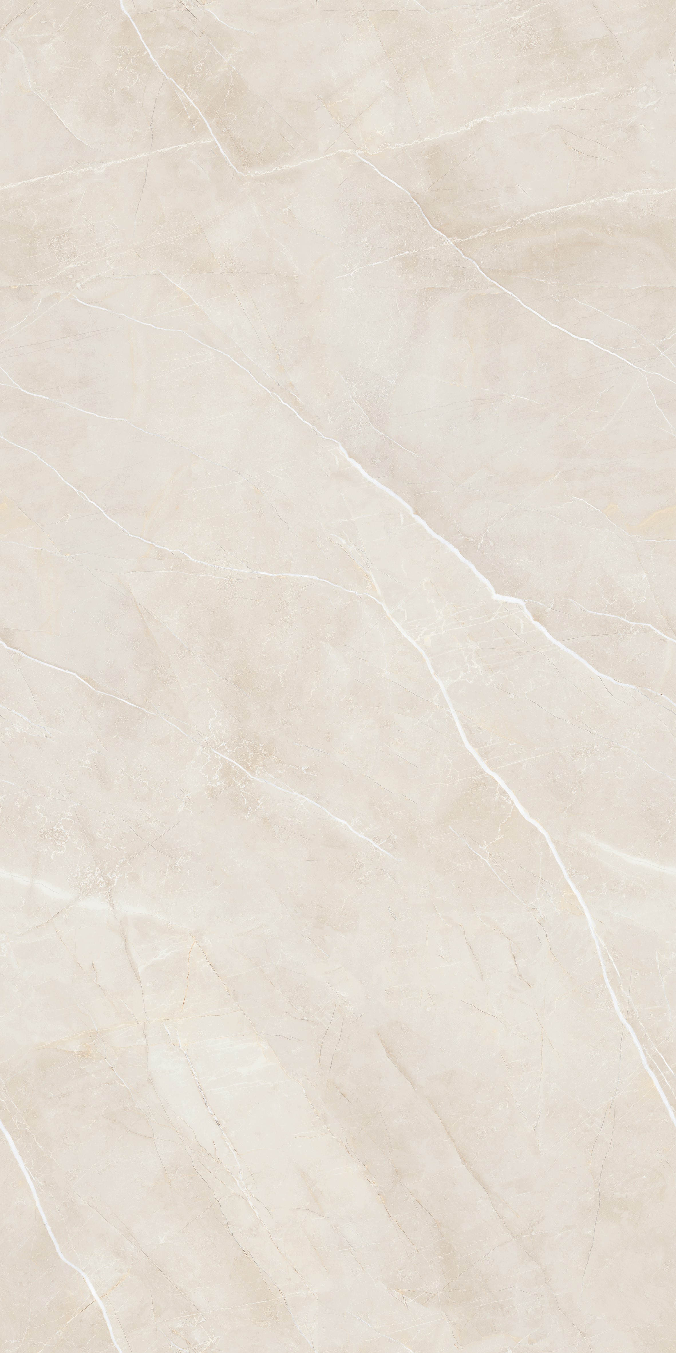 Керамогранит 1200*600 Z612D33