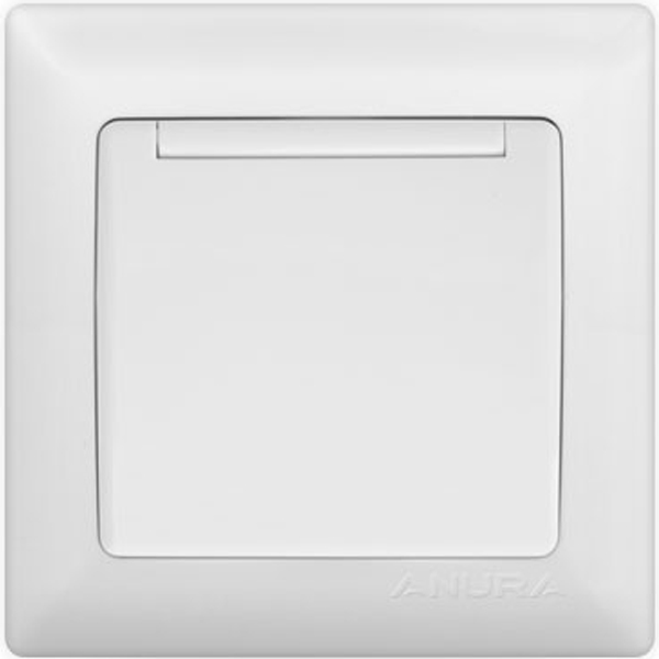 Розетка ANURA 1м СП с/з с крышкой белая /АЕ01109