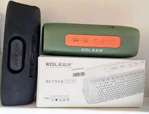 Колонка KOLEER S881