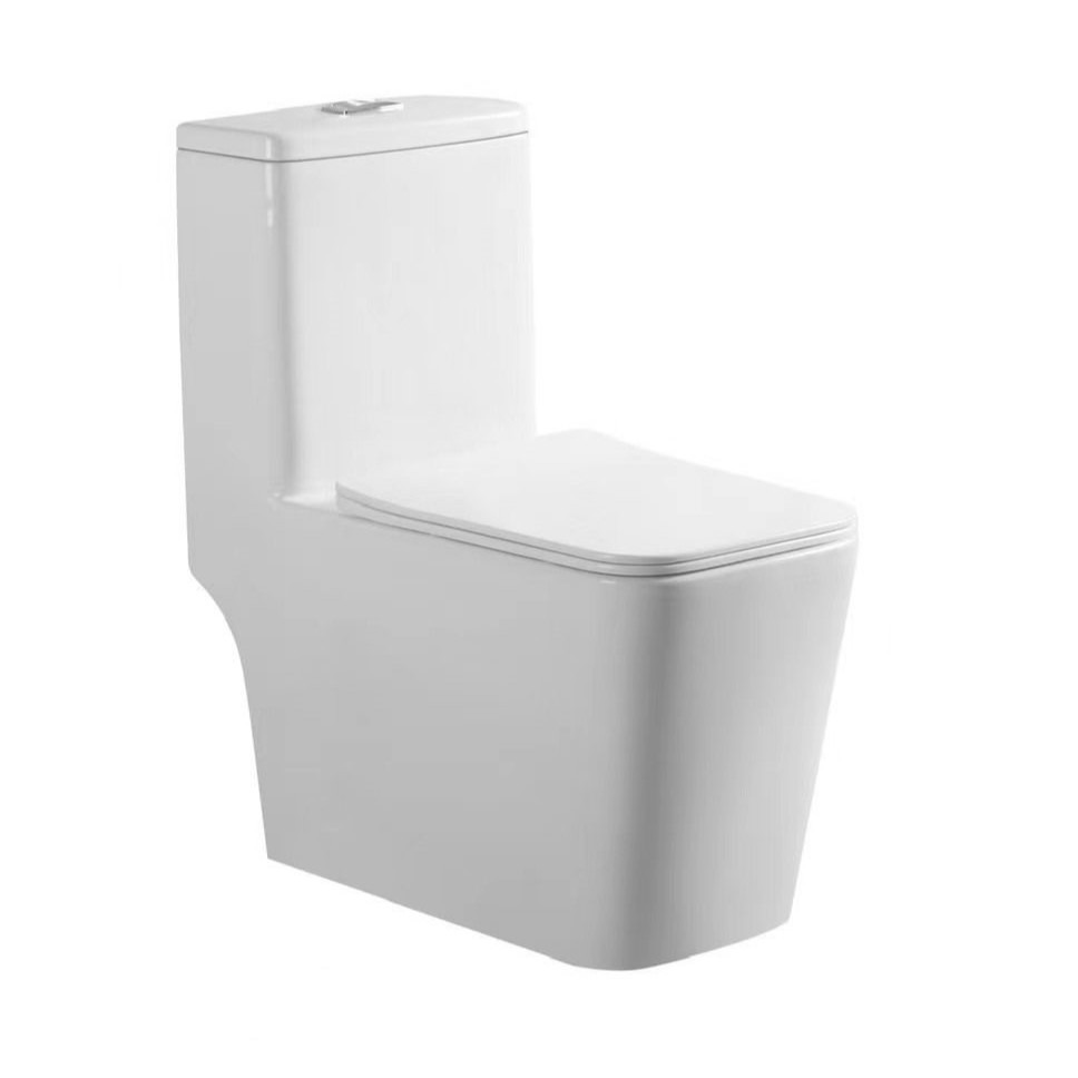 Унитаз монолитный SANITECO SA-701, TORNADO белый 690*360*810 (C)/237343 (2)