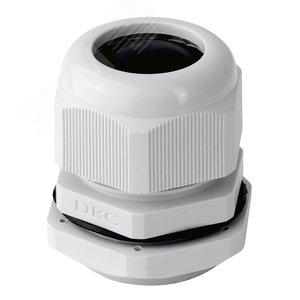 Сальник PG21 IP54 pic-pg-21/92981