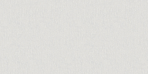 Обои 5007-2 1,06*10,05м