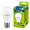 Лампа ERGOLUX LED-A60-12W-E27-6K /0031