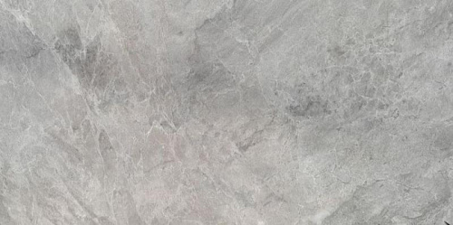 Плиты керамогранитные 1200*600 мм 12098